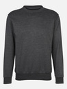 Bild 1 von Herren Sweatshirt mit rundem Ausschnitt
                 
                                                        Grau