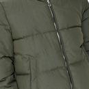 Bild 3 von Only ONLDOLLY SHORT PUFFER Steppjacke
                 
                                                        Grün