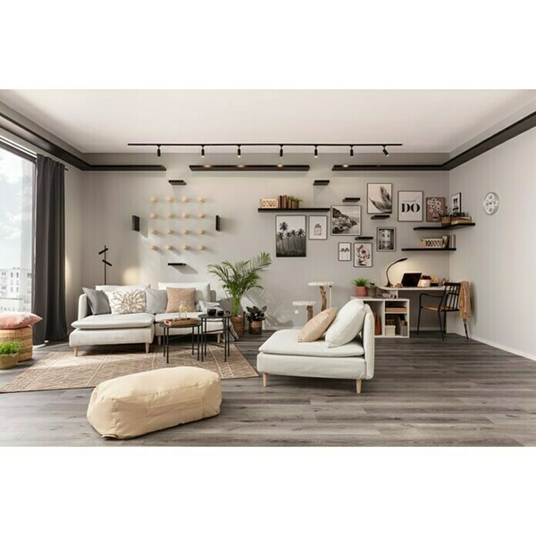 Bild 3 von Alpina Wandfarbe Feine Farben