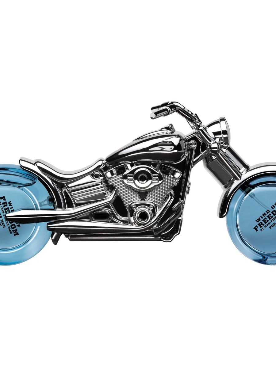 Bild 1 von Herren Parfüm "Wind of Freedom Silver" 80 ml
                 
                                                        Bunt