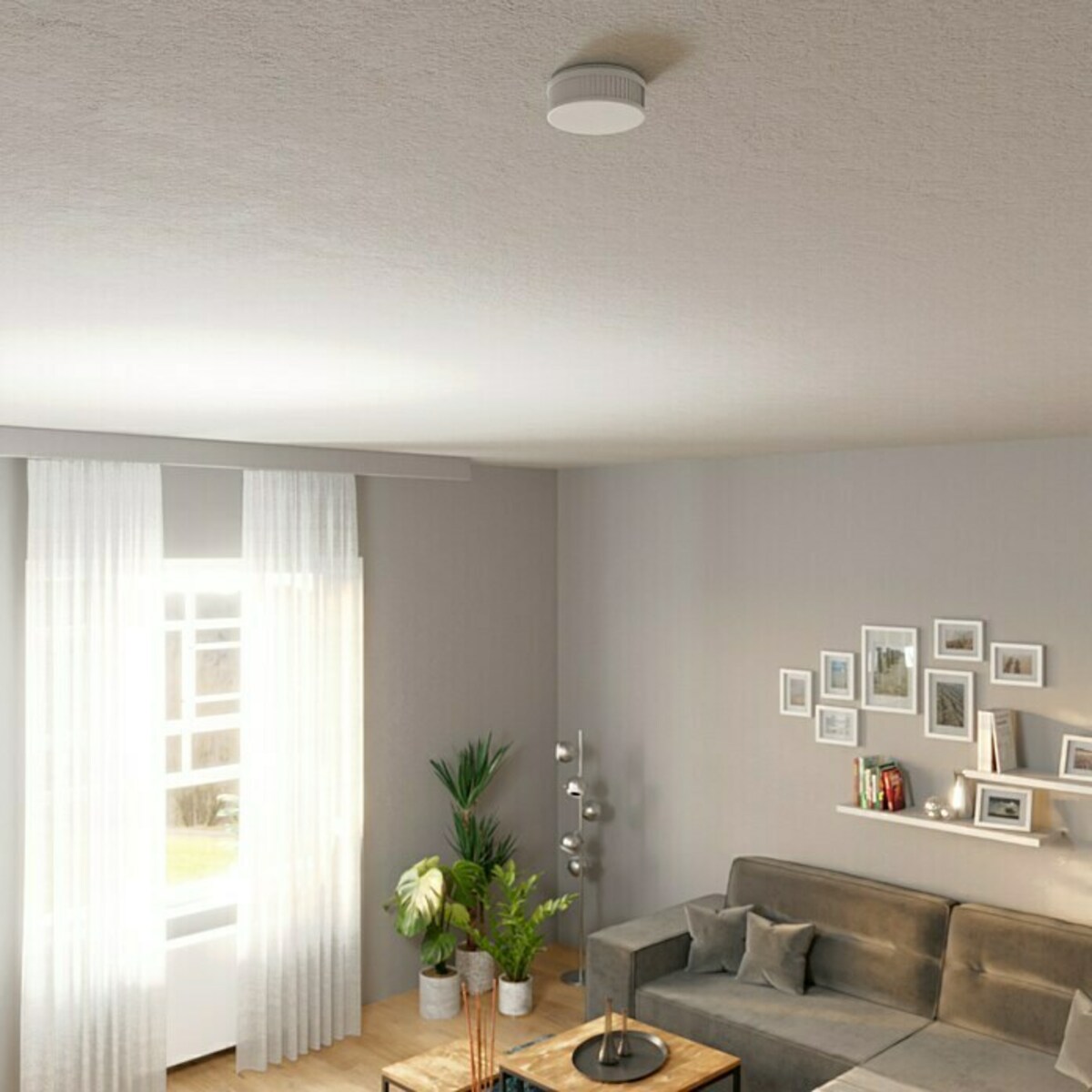 Bild 3 von Pyrexx Rauchwarn- & Hitzemelder PX-1 Q