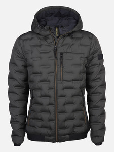 Herren Steppblouson mit Kapuze
                 
                                                        Grün