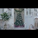 Bild 4 von Dekoblüten Weihnachtsstern mit Clip