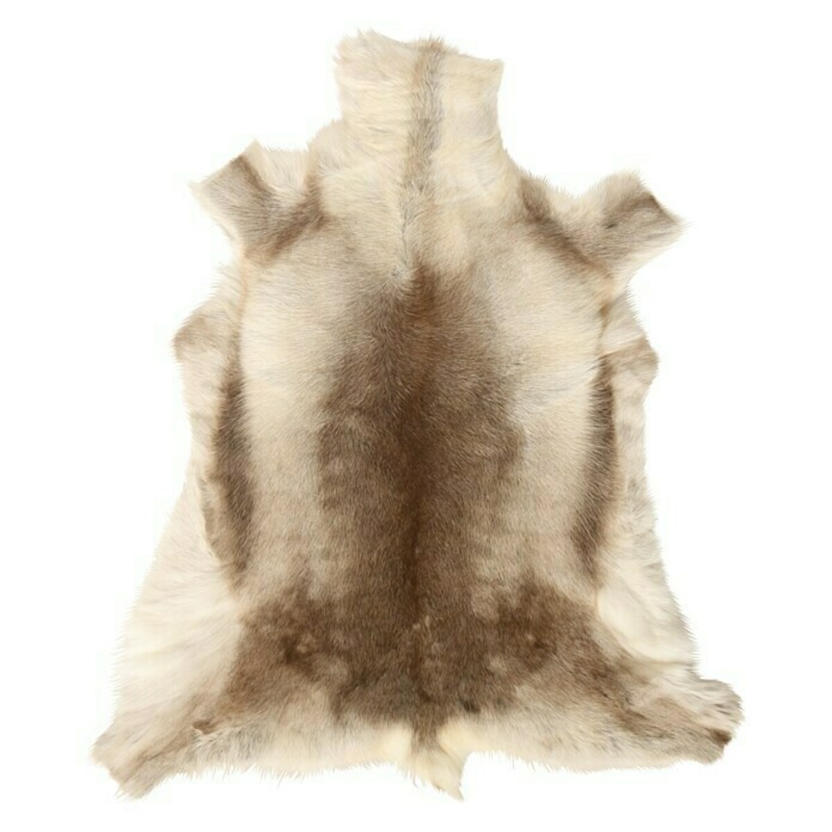 Bild 4 von Esbeco Deko-Rentierfell