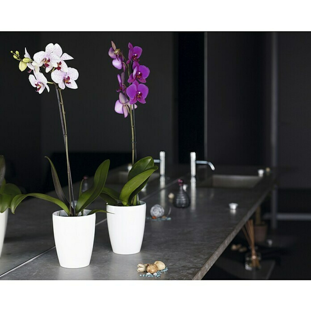 Bild 4 von Artevasi Orchideentopf Fiji