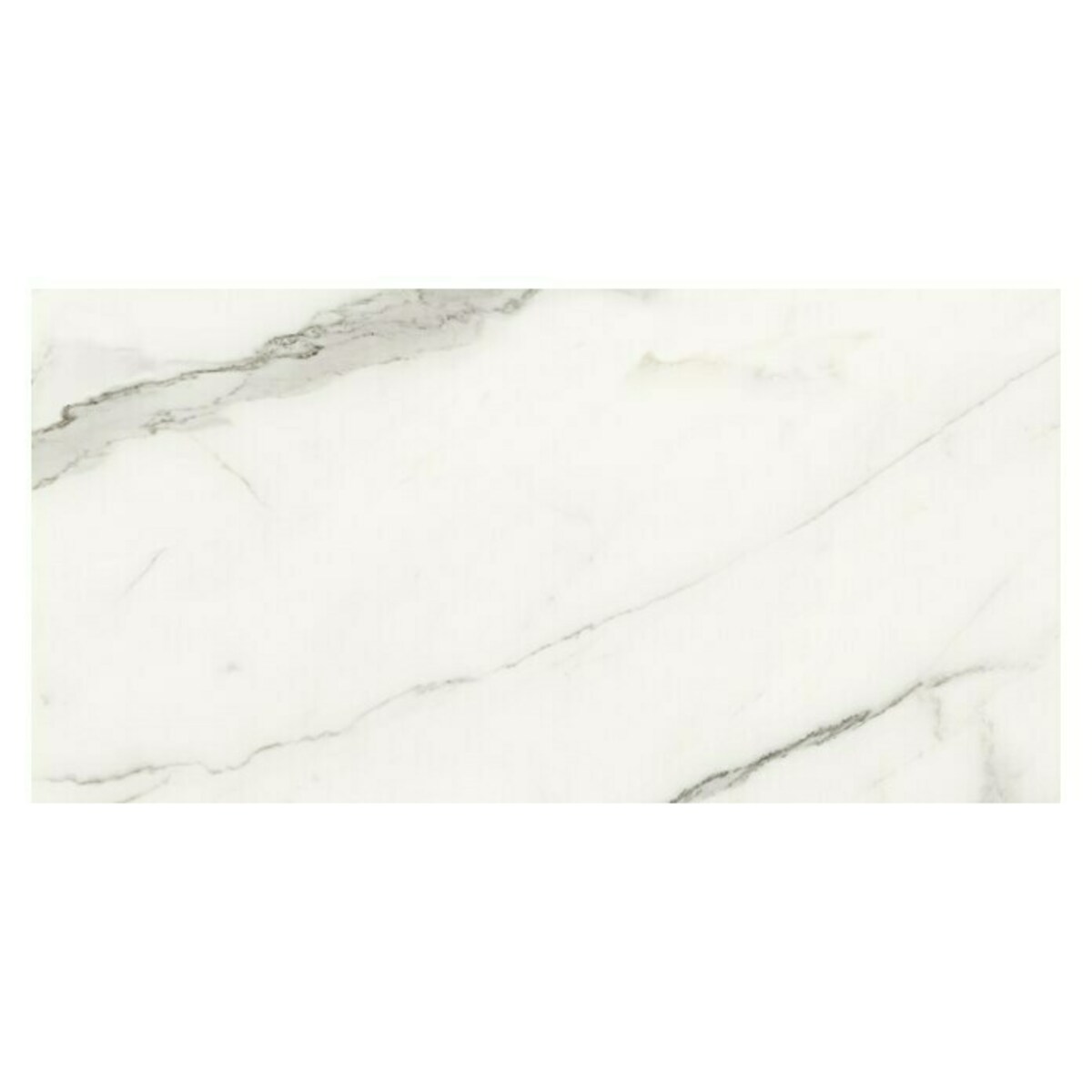 Bild 1 von Feinsteinzeugfliese Torino Bianco