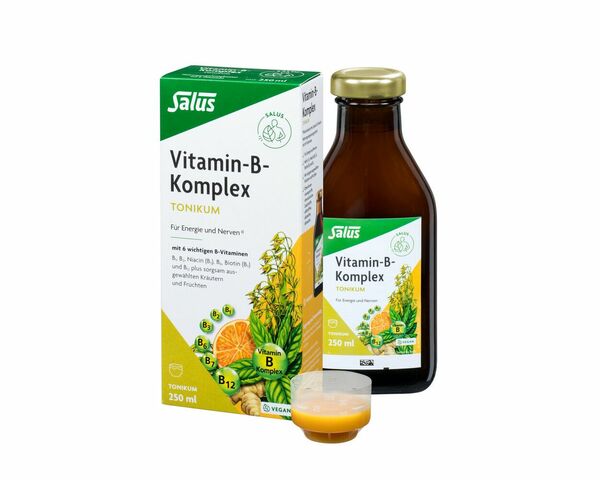Bild 1 von Salus  Vitamin-B-Komplex Tonikum 250 ml