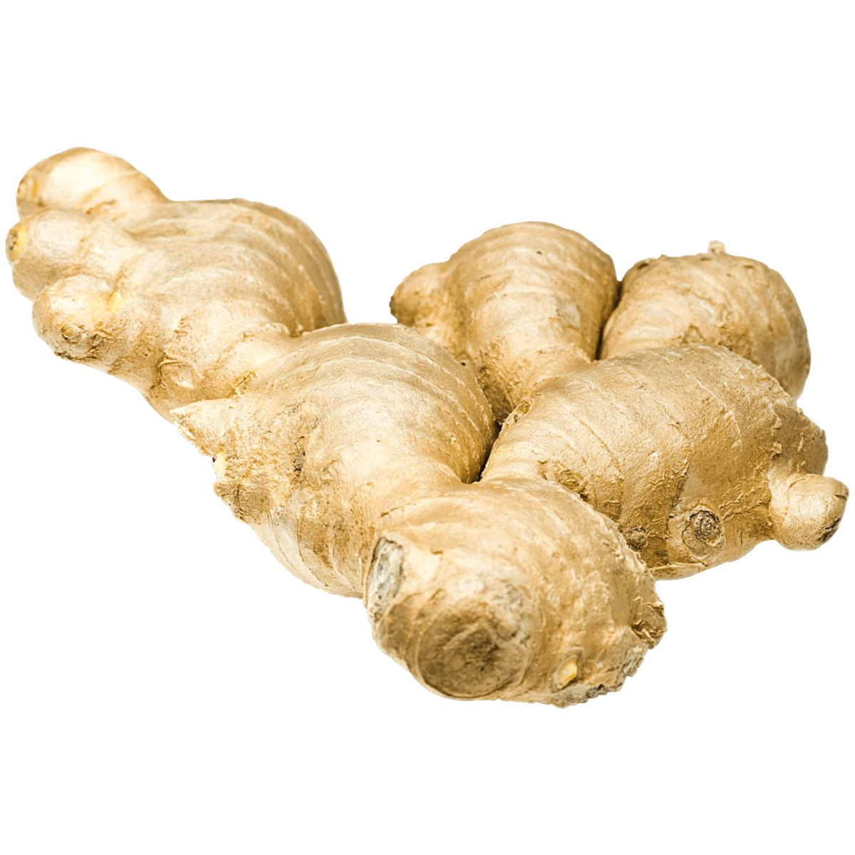 Bild 1 von Bio Ingwer ca. 100g