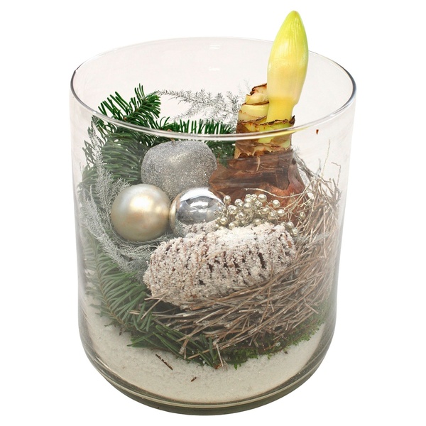 Bild 1 von GARDENLINE Weihnachtliches Arrangement