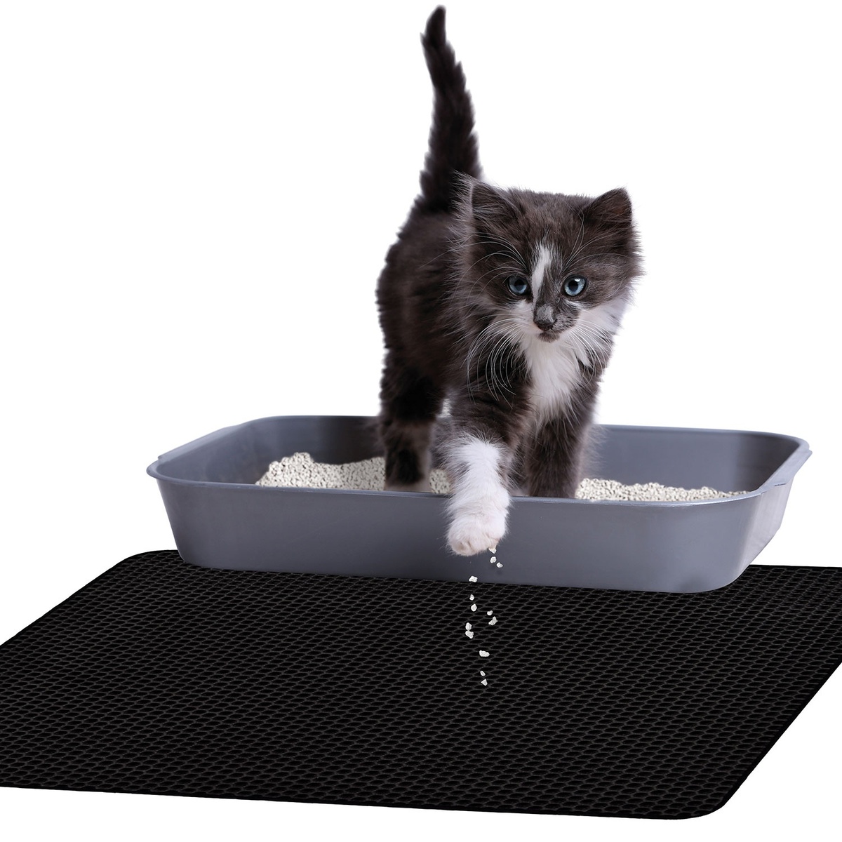 Bild 3 von CACHET Katzenstreu-Matte