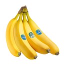 Bild 1 von CHIQUITA BANANEN je 1 kg