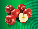 Bild 1 von Rote Äpfel „Nikolaus“