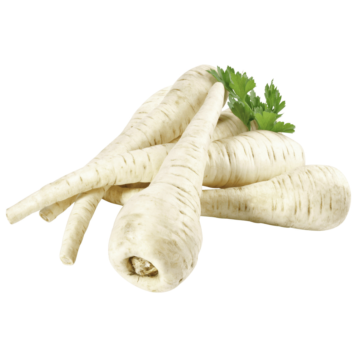 Bild 1 von Bio Pastinake 300g