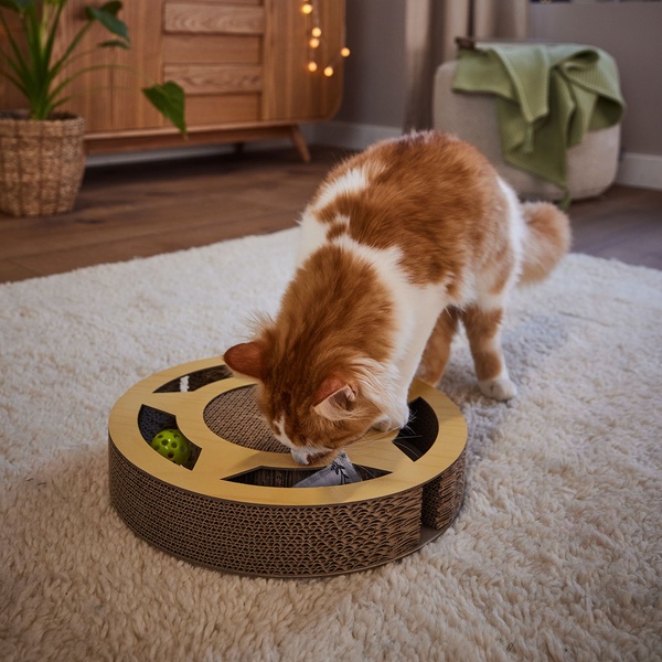 Bild 4 von CACHET Kratzmöbel mit Spielbällen