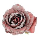 Bild 1 von Rose auf Clip, D:10cm, bordeaux