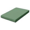 Bild 1 von Schlafgut Spannbetttuch Frottex, Grün, Textil, 130 cm, Grüner Punkt, Textiles Vertrauen - Oeko-Tex®, Hohenstein, Oeko-Tex® Standard 100, Oeko-Tex® Made IN Green, bügelleicht, weich und anschmie