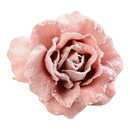 Bild 1 von Blüte Rose auf Clip, D:7cm, rosa