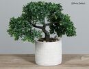 Bild 2 von Kunstblume Bonsai getopft Grau