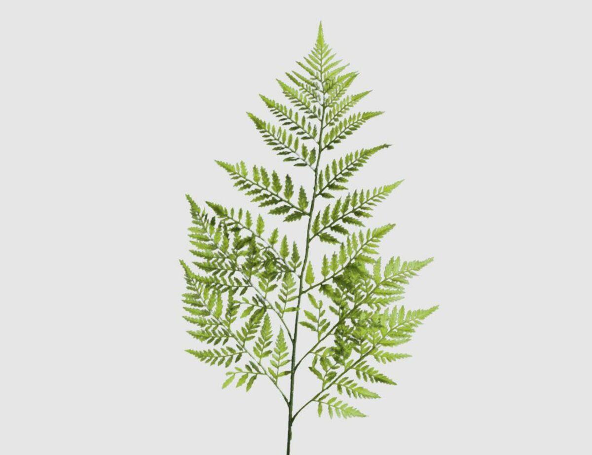 Bild 1 von Kunstblume Lederfarnzweig Grün