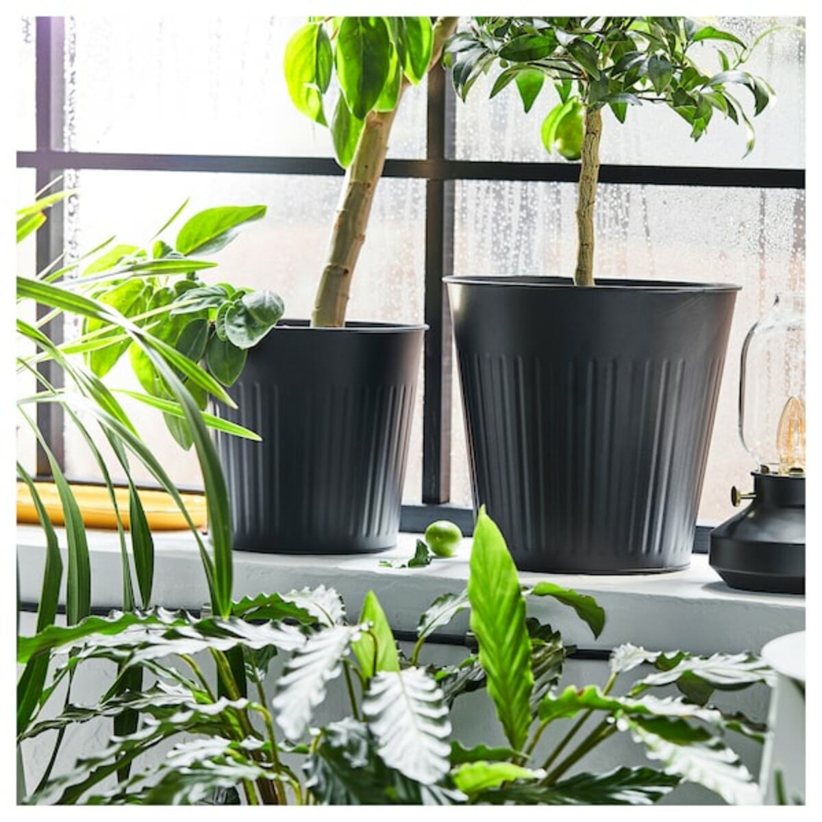Bild 2 von CITRONMELISS  Übertopf, drinnen/draußen/anthrazit 32 cm