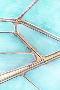 Kollektion Wiedemann Bild &quot;BLUE FIELDS No2&quot;,...