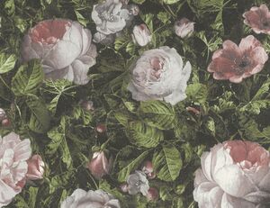 Papiertapete Blume Rose, Grün