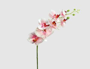 Kunstblume Orchidee Pink