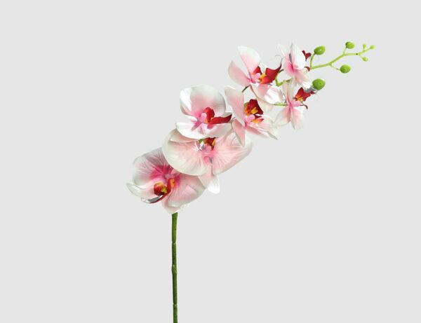 Bild 1 von Kunstblume Orchidee Pink