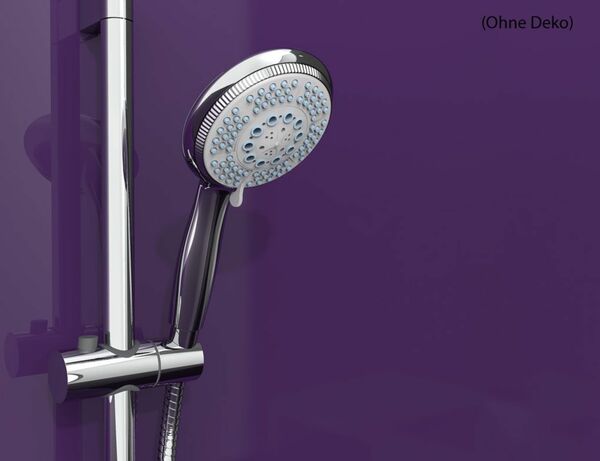 Bild 3 von Handbrause Harmonie Chrom