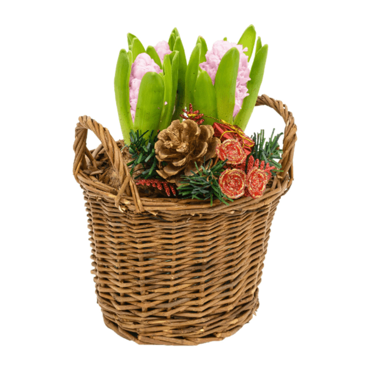 Bild 4 von GARDENLINE Hyazinthen im Korb