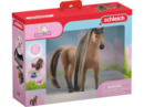 Bild 1 von SCHLEICH 42621 Beauty Horse Achal Tekkiner Hengst Spielset Mehrfarbig