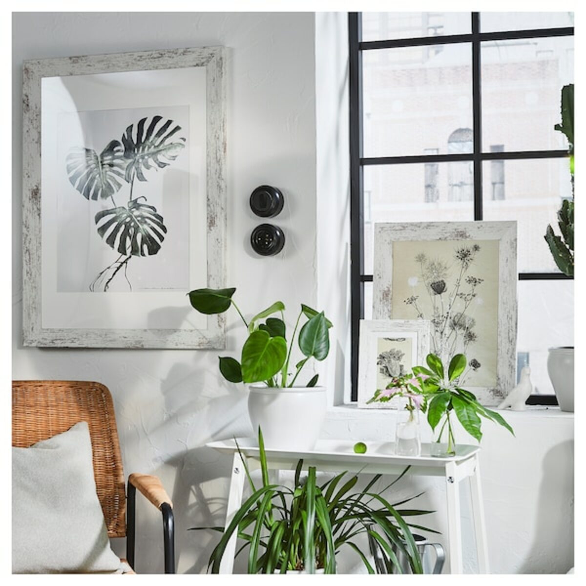 Bild 4 von PLOMMONTRÄD  Rahmen, weiß Kieferneffekt, gebeizt 50x70 cm