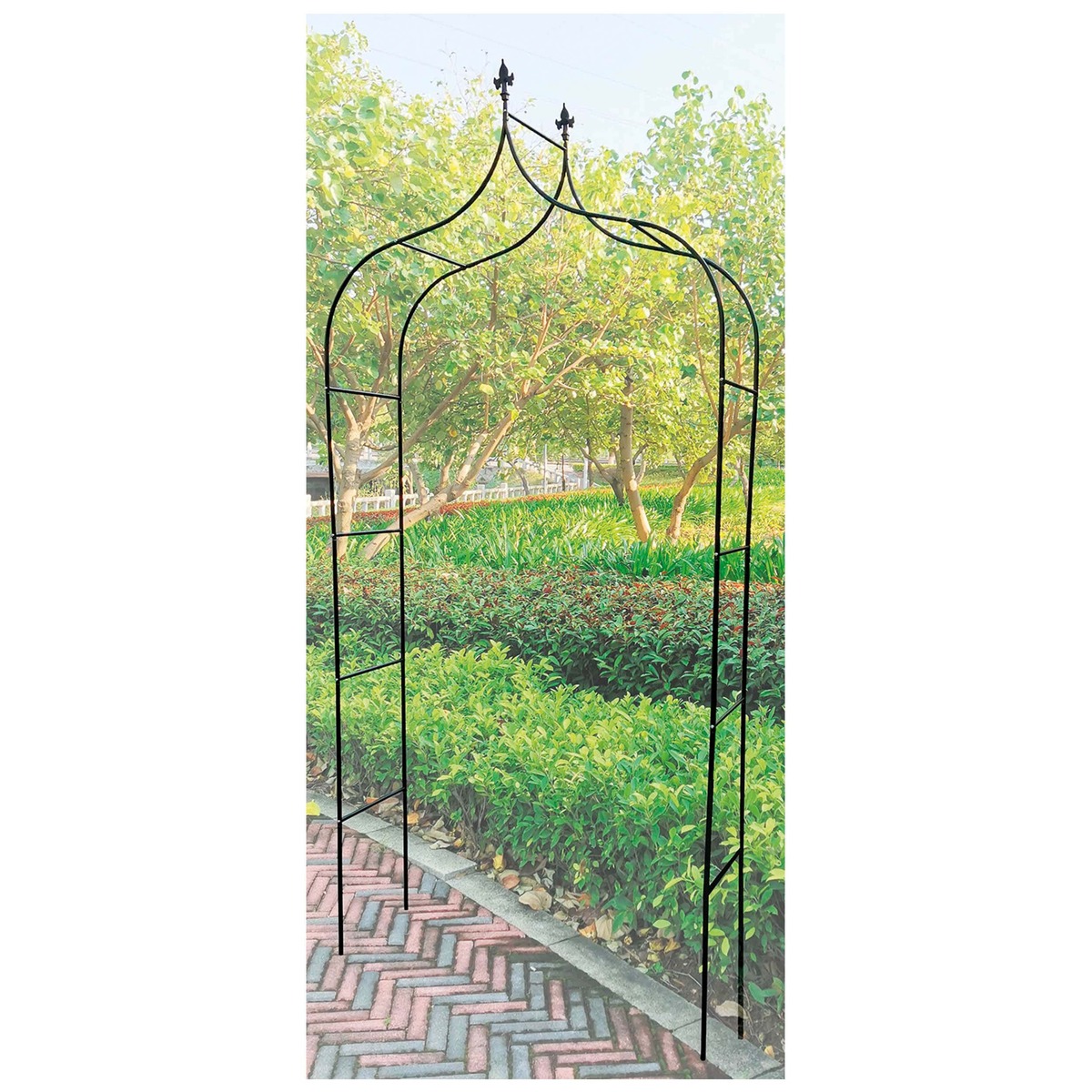 Bild 1 von Rosenbogen 140 x 38 x 260 cm Metall