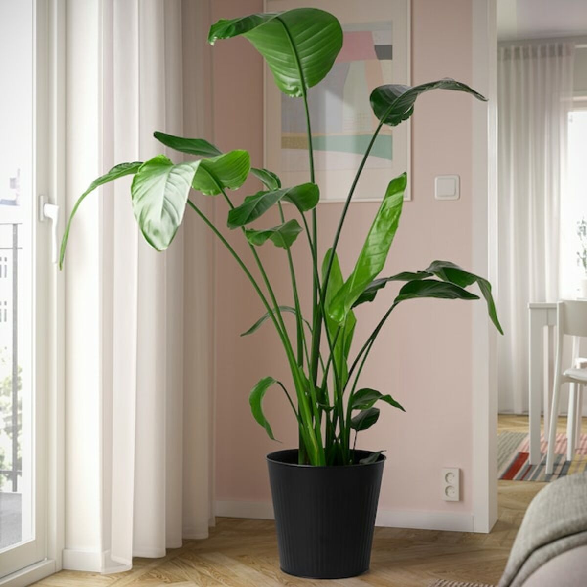 Bild 4 von CITRONMELISS  Übertopf, drinnen/draußen/anthrazit 32 cm