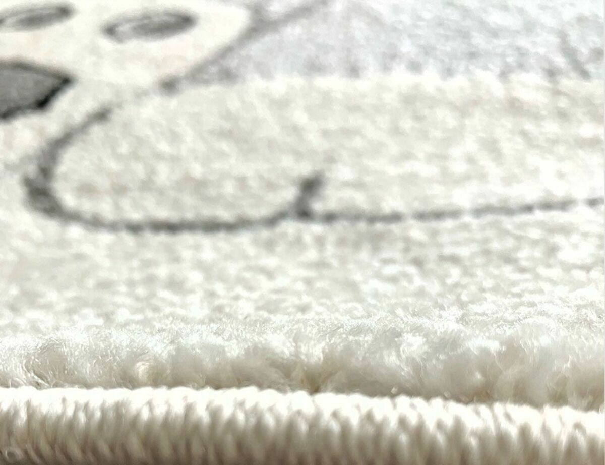 Bild 4 von Teppich Sound Löwe Natur