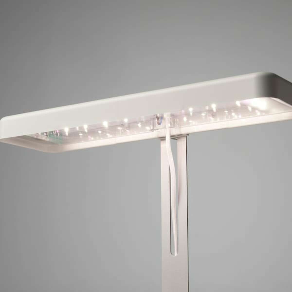 Bild 3 von NYSÄTTRA  Anzucht-Set