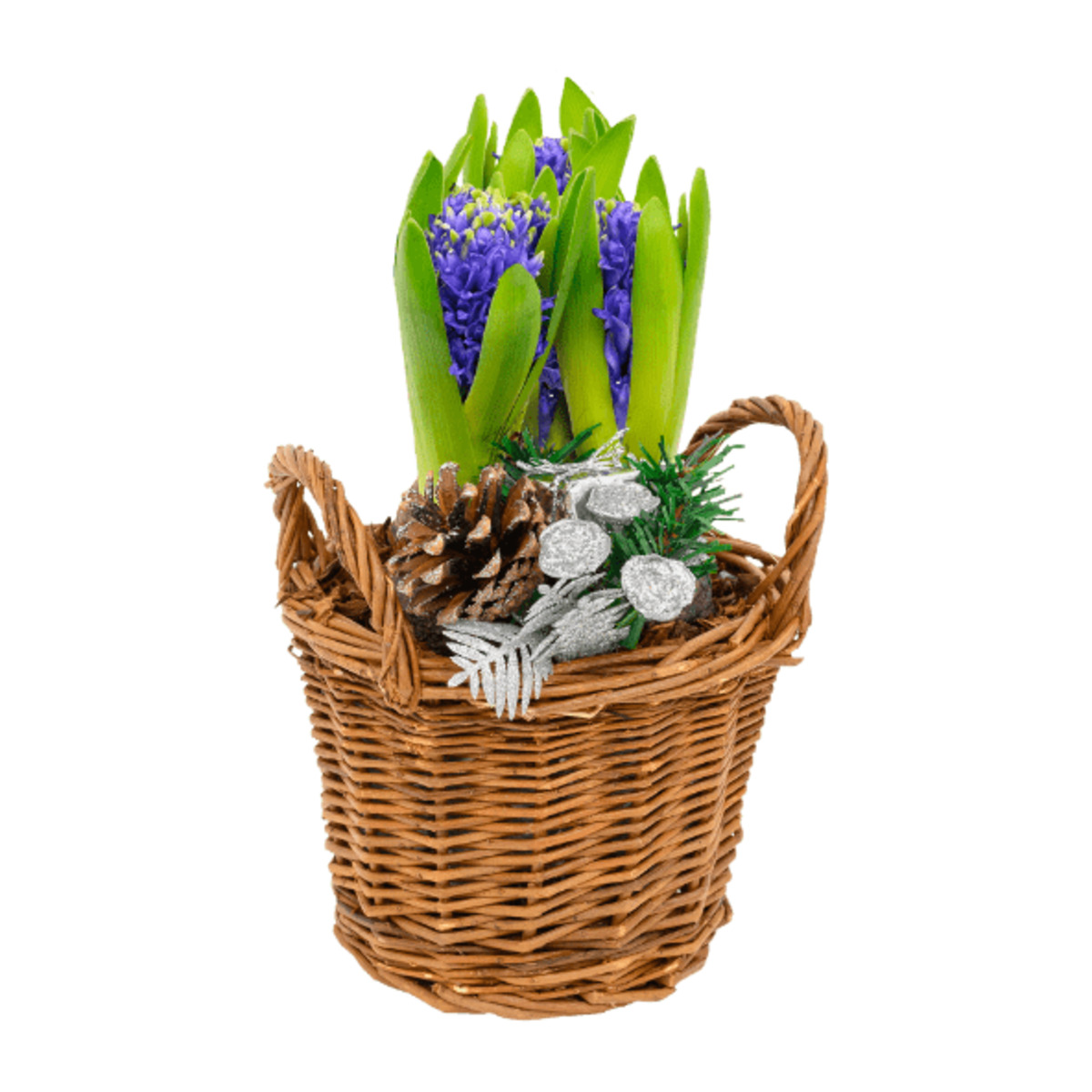 Bild 2 von GARDENLINE Hyazinthen im Korb
