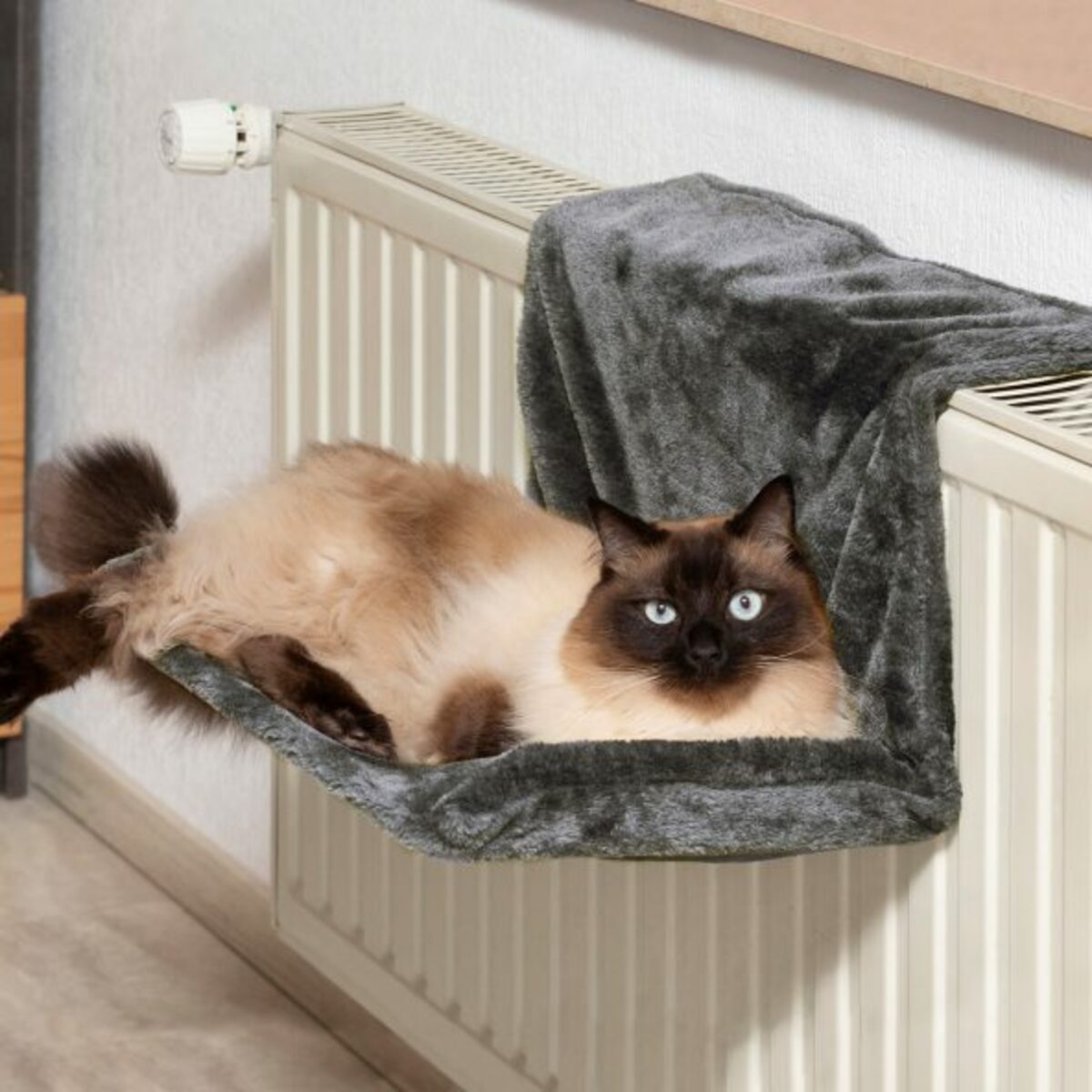 Bild 4 von CACHET Hängematte