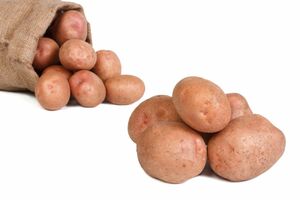 Kartoffeln Laura (Speisekartoffeln