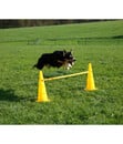 Bild 3 von KERBL Hundespielzeug Agility Pylonen-Hürden Set