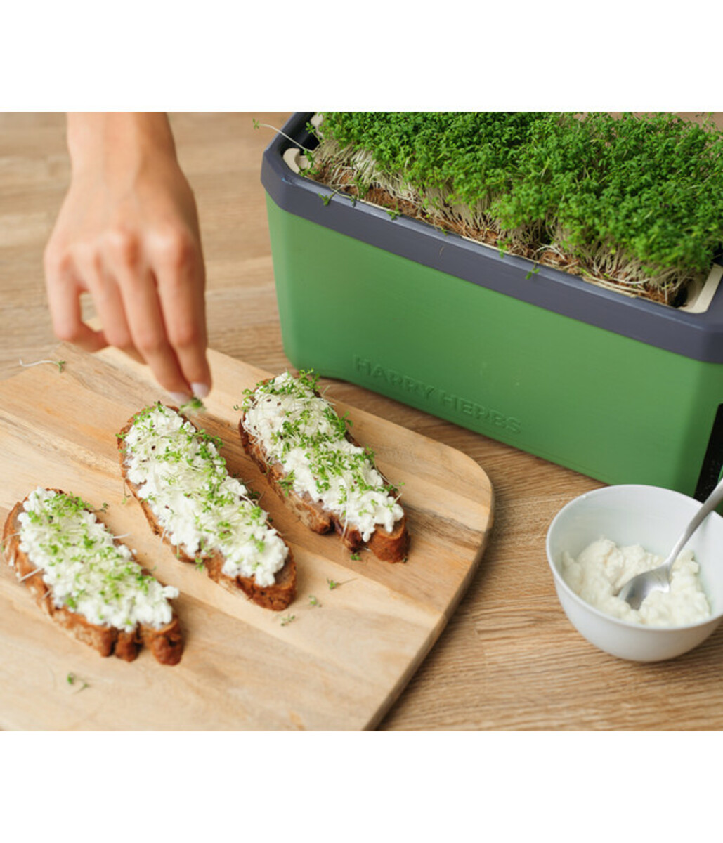 Bild 2 von Gusta Garden Kräutertopf Harry Herbs, ca. B36/H16/T15 cm