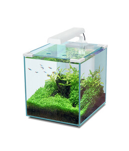 Aquatlantis Aquarium Nano Cubic 30