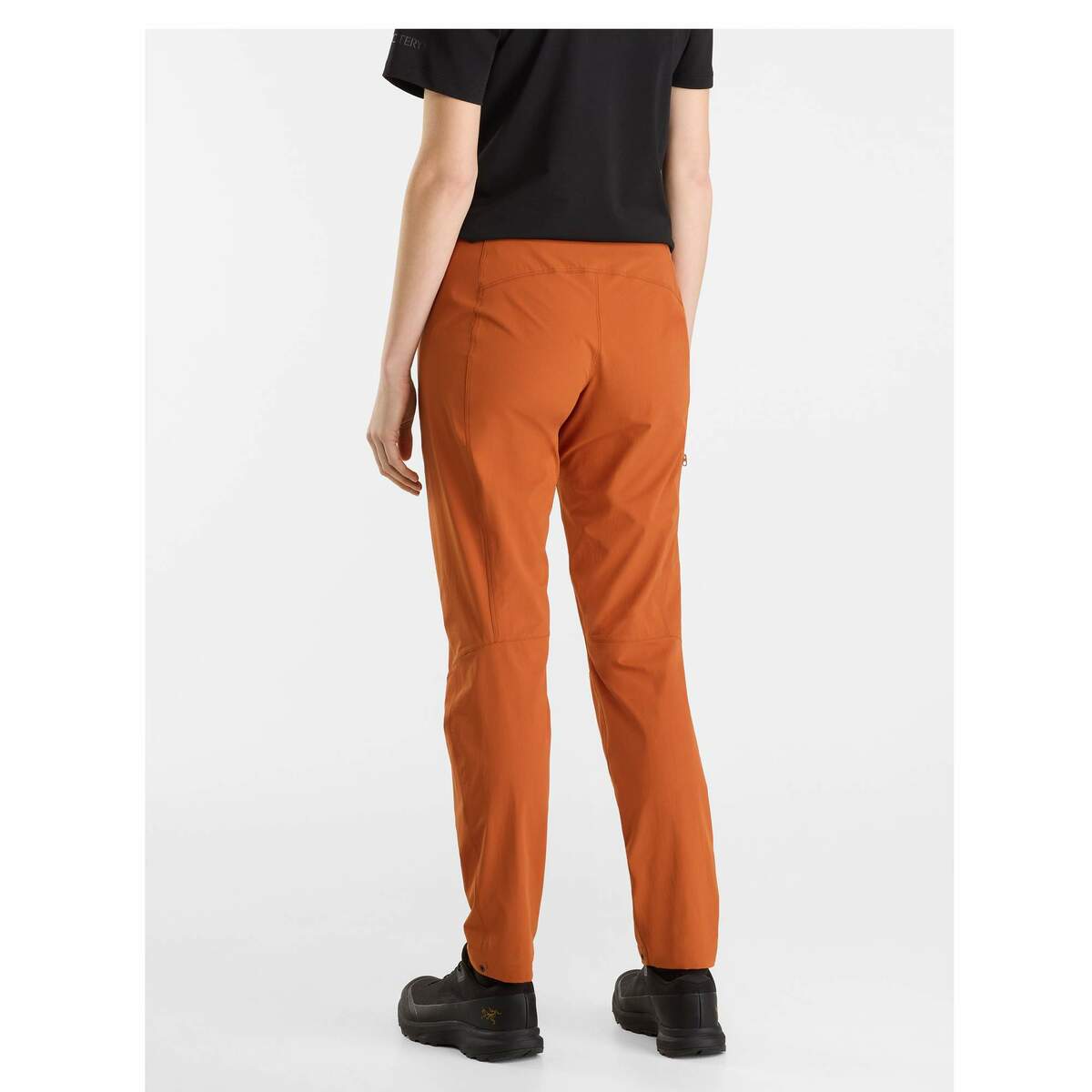 Bild 3 von Arc'teryx
              
                 GAMMA LIGHTWEIGHT PANT W Damen - Softshellhose