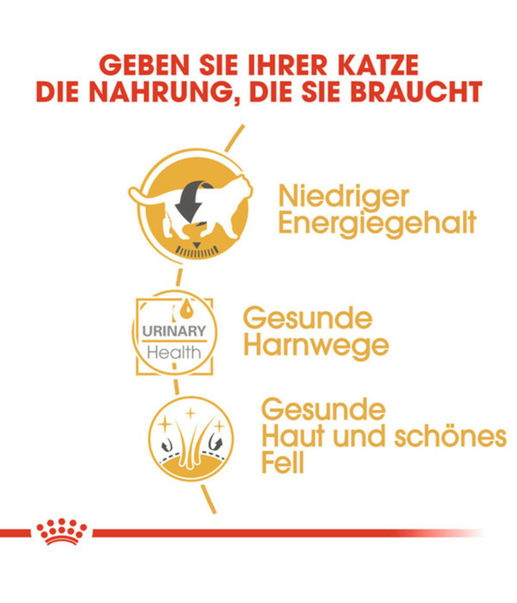 Bild 4 von ROYAL CANIN® Nassfutter für Katzen British Shorthair, 12 x 85 g