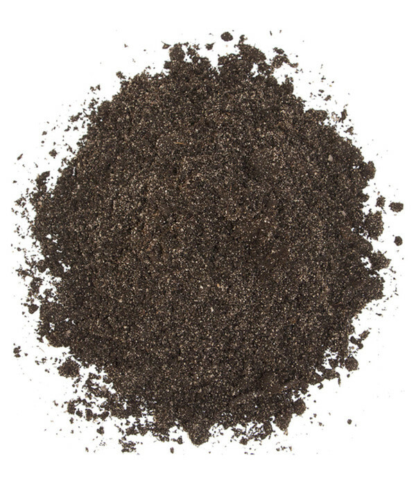 Bild 4 von Floragard 4in1 Rasenfit