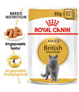 Bild 2 von ROYAL CANIN® Nassfutter für Katzen British Shorthair, 12 x 85 g