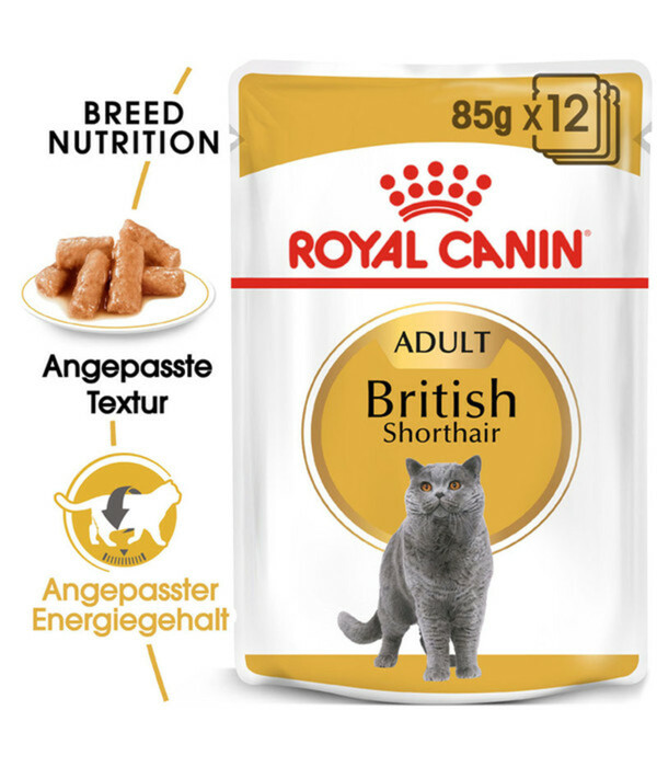 Bild 2 von ROYAL CANIN® Nassfutter für Katzen British Shorthair, 12 x 85 g