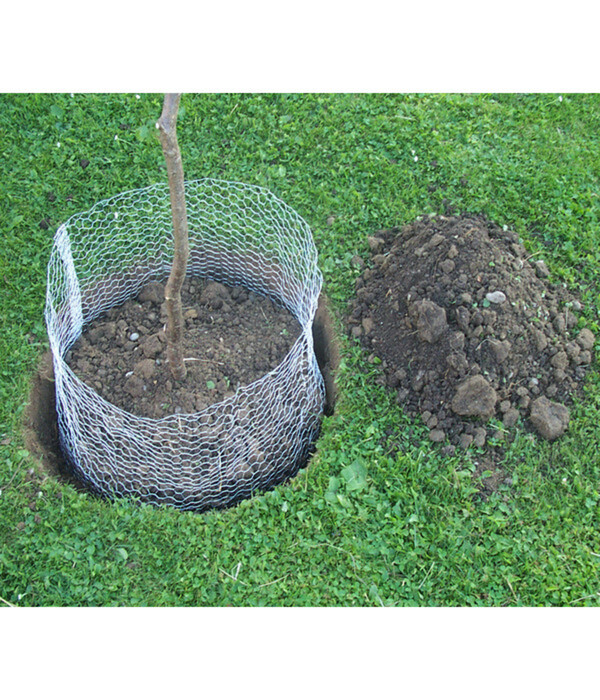 Bild 2 von Wühlmauskorb