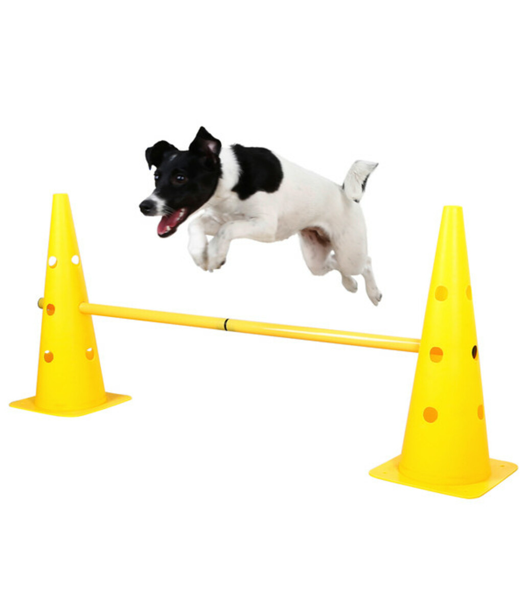 Bild 2 von KERBL Hundespielzeug Agility Pylonen-Hürden Set