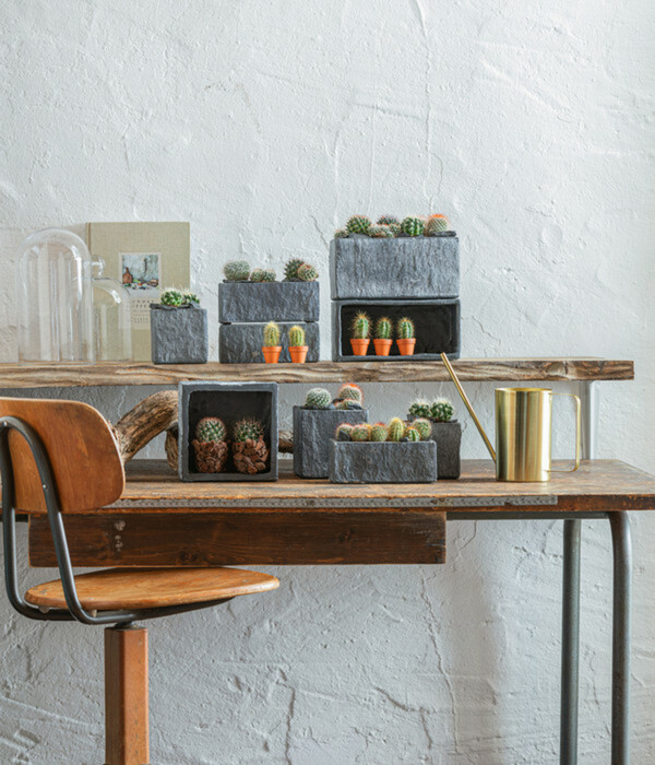 Bild 4 von Dehner Zement-Übertopf Slate, eckig, grau